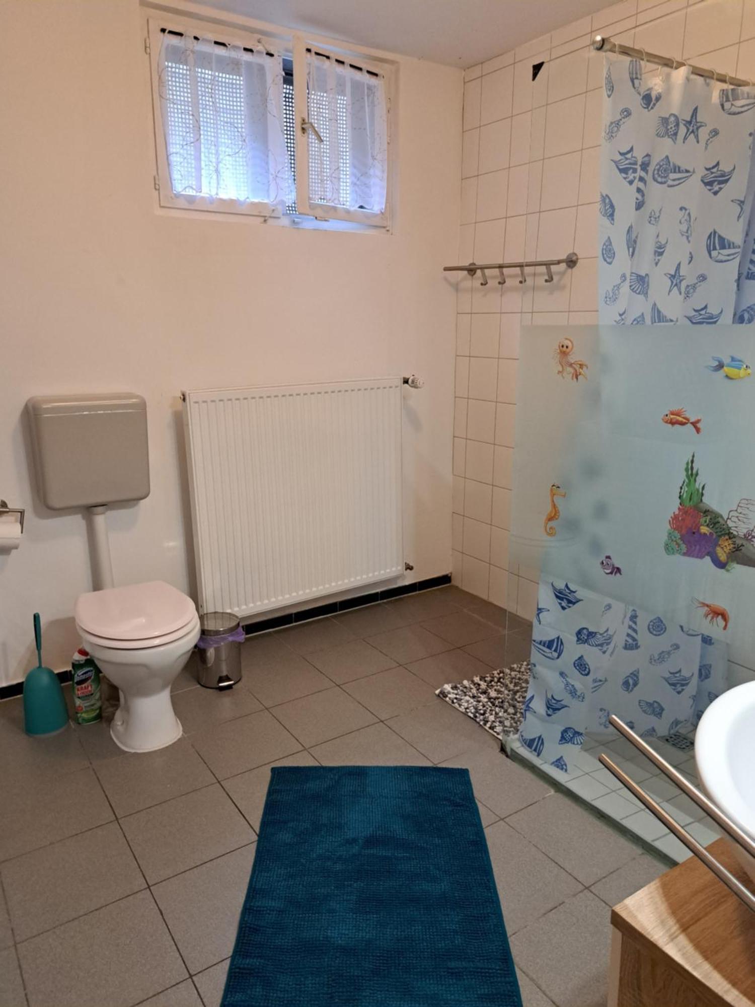 Wohnung Mit 2 - 3 Zimmern Ballenberg Экстерьер фото