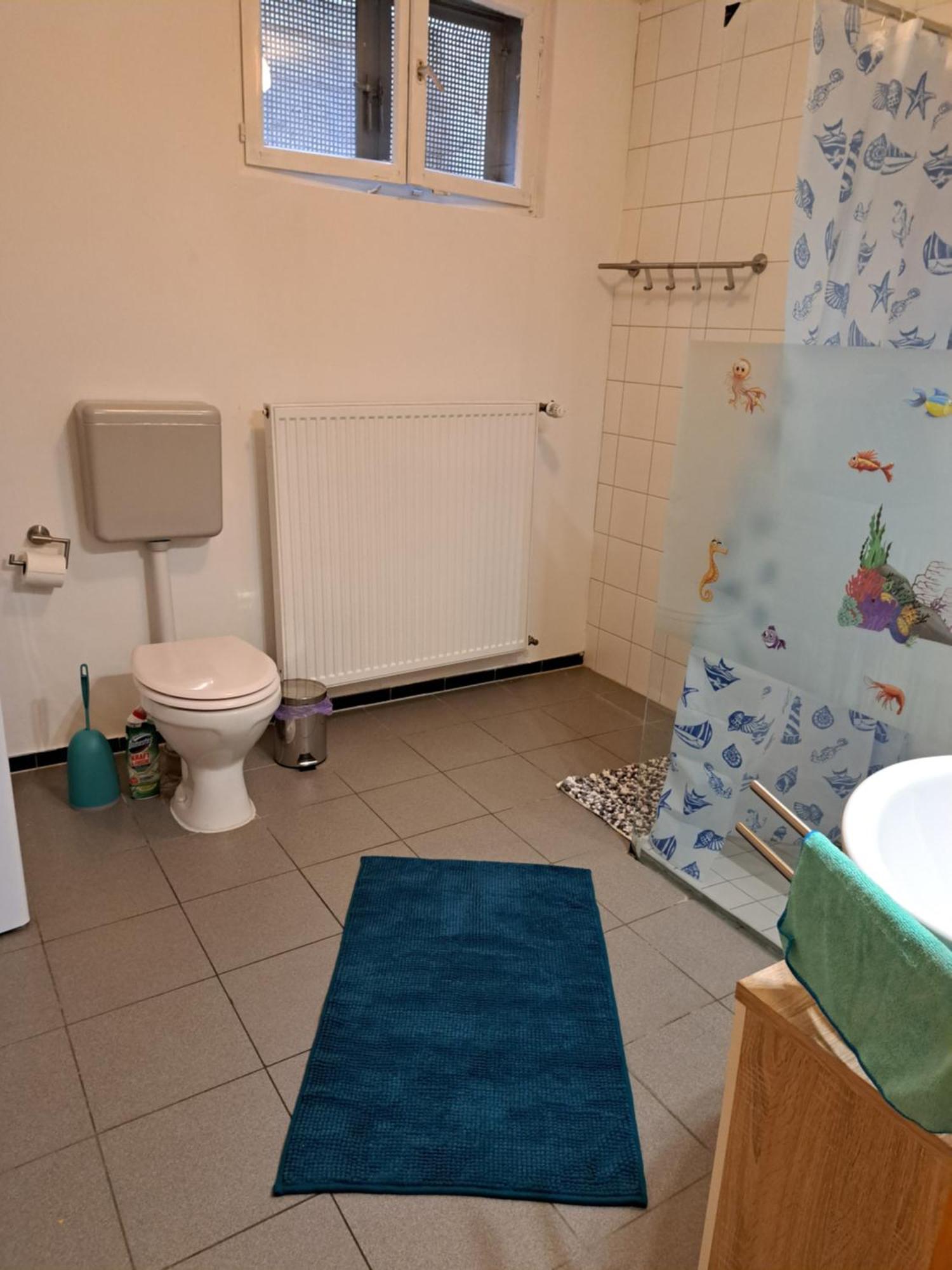 Wohnung Mit 2 - 3 Zimmern Ballenberg Экстерьер фото
